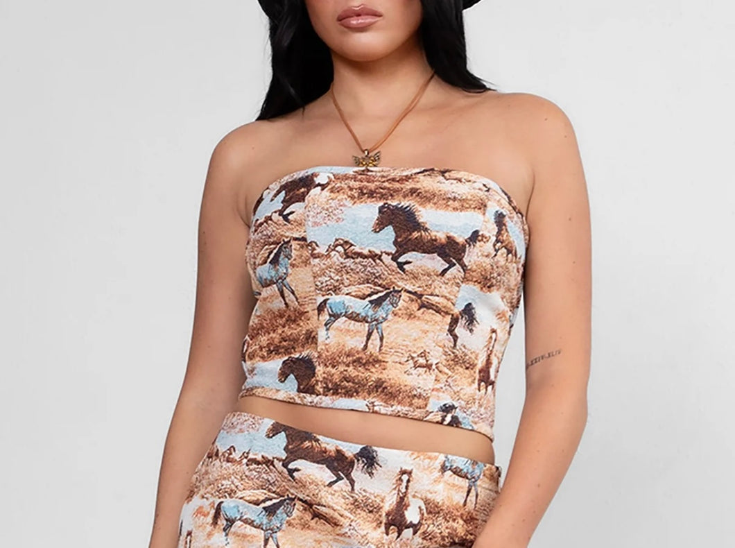 Meet Me At The Rodeo Corset